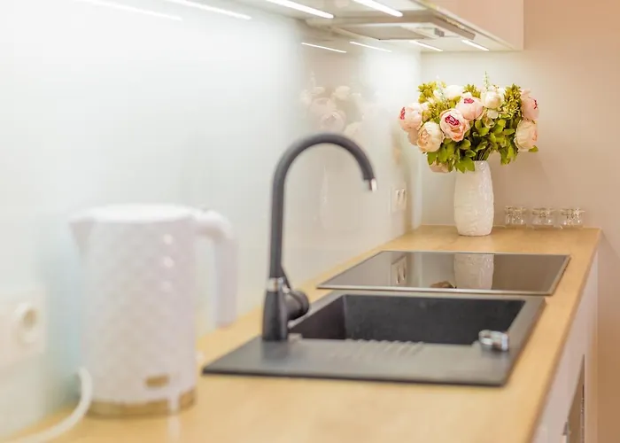 Royal Manu Netflix Apartment Łódź